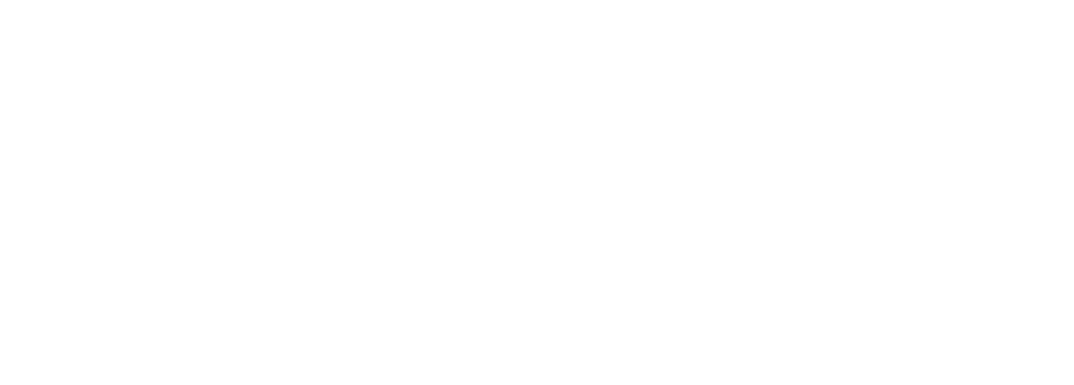 MSV Group